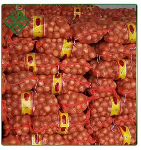 High Quality Professional Export Fresh Onion Wholesale Yellow/Red Onion Fresh Onions Newest Crop In Bulk