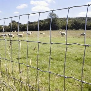 Rollo <span class=keywords><strong>de</strong></span> Alambre Galvanizado por Inmersión en Caliente <span class=keywords><strong>de</strong></span> 100 m para Cercas <span class=keywords><strong>de</strong></span> Campo, para Cabras, <span class=keywords><strong>Cerdos</strong></span>, Ovejas, Ganado, Caballos, Cerca Agrícola <span class=keywords><strong>de</strong></span> Alta Resistencia - Product Image 3