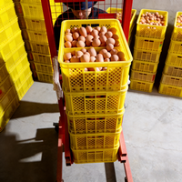 Chariot élévateur industriel portable en acier inoxydable pour bacs de transport d'œufs, légumes et fruits de mer, chariot à palettes OEM