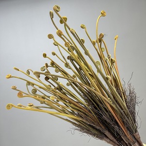 LE-288 Branche de fougère artificielle, plante de fougère sauvage artificielle pour la décoration intérieure et les matériaux d'arrangement floral DIY - Product Image 3