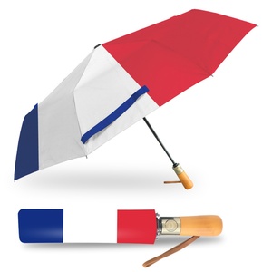 Custom Logo Ladies Gift Fashionable Printed Iron <b>Frame</b> Foldable Umbrella Wooden Handle Promotional Auto Close Manual Control - Product Image 2