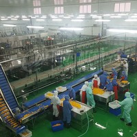 Leadworld Ingeblikt Fruit En Groente Oranje Perzik Productielijn Ingeblikte Ananas Verwerkingsmachine