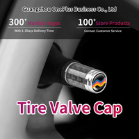 Cache-poussière multicolore personnalisé pour pneus de voiture Capuchons de tige de valve d'air de jante en alliage d'aluminium avec logo personnalisé Nouveau pneu solide