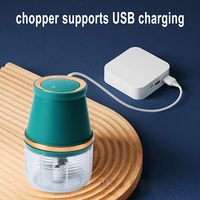 Mini robot de cuisine électrique USB Hachoir à ail Outil de cuisine domestique multifonction