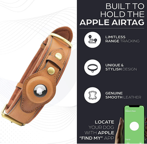 Thiết kế mới GPS Tracker định vị Cat Dog da airtag trường Hợp Chủ cổ áo đào tạo Dog Pet cổ áo - Product Image 2