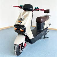 Vente en gros d'usine OEM ODM Moto électrique 1000W E-Moto 60V Haute Vitesse Moto Électrique E-Scooter et Moto