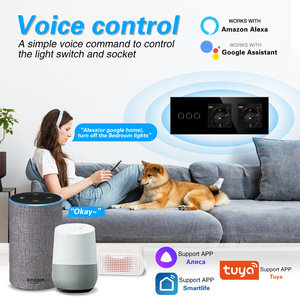 ปลั๊กไฟอัจฉริยะมาตรฐานยุโรป 10A 16A ควบคุมด้วยเสียงผ่าน Wi-Fi พร้อมระบบป้องกันเด็กเปิดประตู - Product Image 3