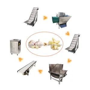 Fornitore affidabile lavorazione automatica dell'aglio che fa macchina spicchi d'aglio peeling separatore polvere linea di produzione prezzo vendita