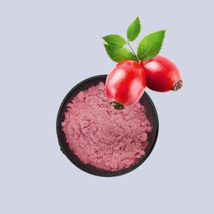 Fornecimento de Fábrica de Alimentos Orgânicos Naturais, Extrato de Ervas, Pó de Fruta de Rosa Mosqueta, Pó de Rosa Mosqueta - Product Image 1