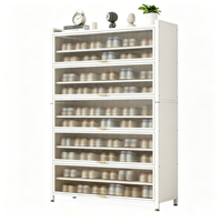 Mueble de Almacenamiento para Zapatos con Puerta Abatible para Sala de Estar Moderna, de Acero, a Prueba de Polvo, Fácil de Montar, Duradero