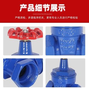 Vanne à opercule filetée Shen Hui 150 mm DN50 à siège flexible pour l'arrêt de l'eau dans les conduites d'incendie et d'eau potable - Product Image 5