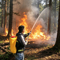Sac à dos de lutte contre les incendies OEM avec bretelles rembourrées, fabricant de sacs à dos de pompier pour incendies forestiers et brûlures végétales, pulvérisateur dorsal 20L