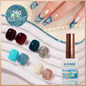 R S Nail OEM Service Custom Design Uv Gel Polish 240 Colors Glitter Colors Gel