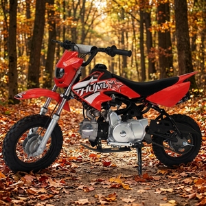 Motocicleta Todoterreno de 110cc, Refrigerada por Aire, 4T, a Gasolina, con Frenos de Disco, Monocilíndrica, Escape Doble Recto de 3L, 110cc, Monocilíndrica, Superventas - Product Image 1