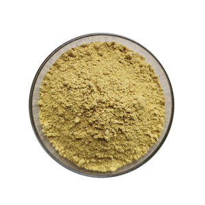 مسحوق مستخلص الزنجبيل الطبيعي العضوي الصالح للأكل، مسحوق مستخلص جذور الزنجبيل - Product Image 2