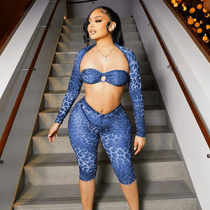 Ropa de mujer americana Europea Estampado de leopardo de moda Mantón de manga larga Transparente - Product Image 3