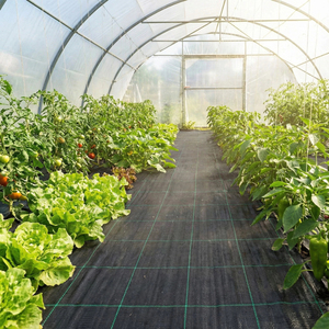 <span class=keywords><strong>Malla</strong></span> Antihierbas de Polipropileno Tejido a Cuadros <span class=keywords><strong>Negra</strong></span>, Barrera Antihierbas para Invernadero, <span class=keywords><strong>Malla</strong></span> Duradera para Paisajismo, <span class=keywords><strong>Malla</strong></span> Antihierbas para Cubrir el Suelo - Product Image 4