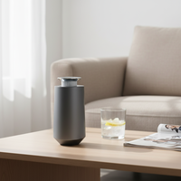 Diffuseur d'air portable électrique de type C personnalisé avec contrôle par application, diffuseur d'huiles essentielles sans eau pour usage hôtelier