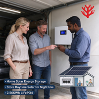 Baterai Surya LiFePO4 2.56KWh 25.6V 100Ah Sistem Penyimpanan Energi Terpasang di Dinding untuk UPS Rumah
