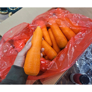 Zanahorias de degustación dulce frescas orgánicas del mayorista vietnamita Embalaje personalizado del equipo profesional Fuentes asiáticas - Product Image 2