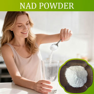 98% CAS 53-84-9 Beta-Nicotinamid-Adenin-Dinukleotid NAD Nahrungsergänzungsmittel Pulver - Product Image 2