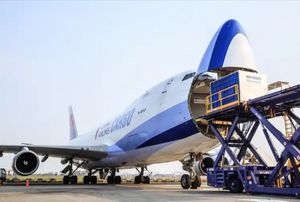 एक्सप्रेस 7-9 दिनों के पारगमन बीमा के माध्यम से भारी मशीनरी थोक माल परिवहन के लिए विशेष एयर फ्रेट चीन येरेवन (आर्मेनिया) - Product Image 5