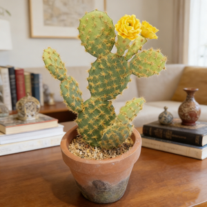Cactus artificiel <span class=keywords><strong>en</strong></span> <span class=keywords><strong>pot</strong></span> avec fleurs jaunes pour la décoration de la maison et du bureau - Product Image 6