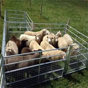 Clôture de ferme équestre de qualité supérieure enclos de bétail corral panneaux de clôture et portes