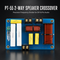 Répartiteur de fréquence audio HiFi PT55 en cuivre à deux voies, 12-15 pouces, 500-800W, 8 ohms, accessoires pour haut-parleurs