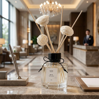 Diffuseur de parfum en rotin naturel pour la maison, aromathérapie, bâtonnets en rotin tissés à la main, huile essentielle parfumée, désodorisant d'air décoratif