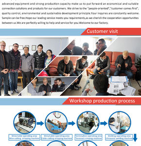 Üretici-doğrudan özel kablo takımı elektronik arabalar için komple kablo demeti RV LS takas ekskavatör motoru için - Product Image 6