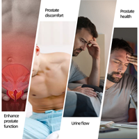 Granulés OEM pour la santé de la prostate, pour le soutien urinaire et la circulation sanguine, 6g x 12 paquets |   Thé aux herbes naturelles pour la prostate