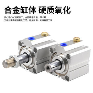 Cylindre pneumatique STA50 à simple effet, piston à compression de ressort, joint d'étanchéité, double action disponible, tailles 50-5 10 15 20 25 30 40 50 - Product Image 3