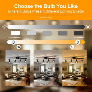 Lámpara de Techo E14 con Riel para Focos, 1, 2, 3, 4, 5 o 6 Focos Ajustables, Montaje Superficial en Metal Negro, para Sala de Estar, Dormitorio, <span class=keywords><strong>Cocina</strong></span> - Product Image 3