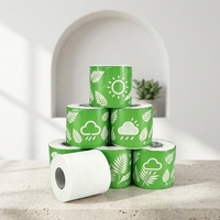 Rouleaux de papier toilette doux et fins, 100% pâte de bois vierge, résistants, écologiques, pour camping-car, sans poussière, jetables dans les toilettes