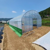 Enkelspannings landbouwkassen en landbouwtunnels van PE-plasticfolie, kweektenten, tomatenkassen te koop