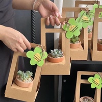 Plante succulente en pot, matériaux recyclés écologiques, boîte cadeau rectangulaire pliable en papier kraft blanc, laminé, DIY, biodégradable