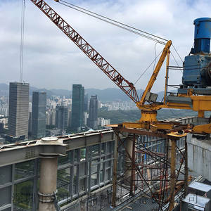 Grue à tour de chantier WD80 1840 - Product Image 2