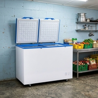 Réfrigérateur solaire à double température 230L/250L/260L avec batterie de secours pour usage domestique