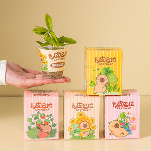 Caja Sorpresa de Planta en Maceta de Capibara, Bonsái Pequeño para Interiores, Juguete de Exploración de la Naturaleza para Niños, Decoración para Dormitorio - Product Image 3
