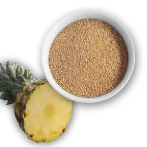 Estratto di frutta naturale succo di ananas fresco in polvere a spruzzo di frutta secca ananas in polvere