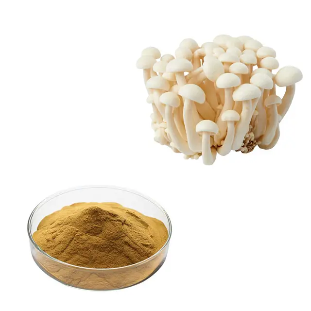 Water Soluble Food Grade Pure Beech Shimeji Organic Mushroom Powder