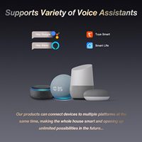 Prise murale intelligente, prise électrique intelligente compatible avec Alexa/Google Home/application Tuya, commande vocale, prise WiFi, 16 A