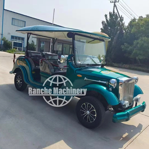 Autobús Turístico Eléctrico de 8 Plazas, Coche Clásico de Turismo Vintage con Certificado CE, Transporte Especial, Coche Clásico - Product Image 1
