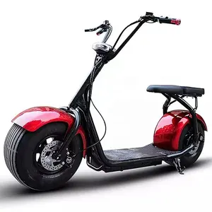 Üretici ucuz Dogebos yetişkin Citycoco 1000/1500/2000w elektrikli scooter motosiklet