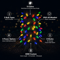 Guirlande lumineuse LED C6 Fraise IP44 50 LED 5m Solaire et Alimentation Secteur 8 Modes Multicolore Noël Extérieur Jardin OEM CE