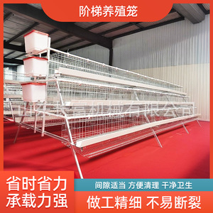 ตาข่ายลวดกรงไก่แบบ A สำหรับฟาร์มอัตโนมัติ - Product Image 5
