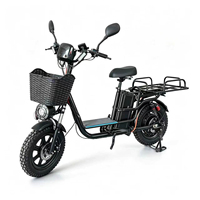 Bicicleta Eléctrica Plegable de 16 Pulgadas, 500w, 800w, 1000w, 48v, 60v, 72v, con Llantas Gruesas, para Adultos