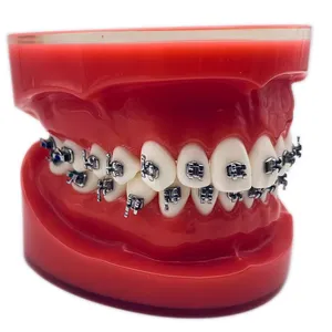 2024 Shinye New Design Dental Equipment Orthodontic Metal Standard Bracket