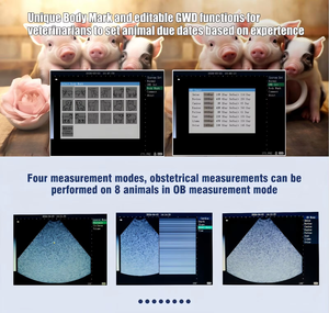 Ecógrafo Portátil Veterinario para Grasa Dorsal de Cerdo, Medición Rápida y Precisa, Almacenamiento de Datos, Batería de Larga Duración, Modo B, 5.0MHz - Product Image 2